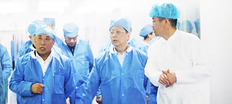 bifa·必发(中国)唯一官方网站