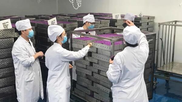 bifa·必发(中国)唯一官方网站