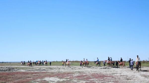 bifa·必发(中国)唯一官方网站