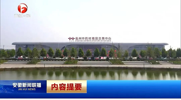 bifa·必发(中国)唯一官方网站