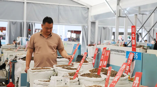 bifa·必发(中国)唯一官方网站