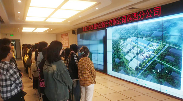 bifa·必发(中国)唯一官方网站