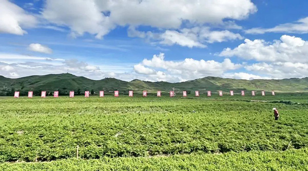 bifa·必发(中国)唯一官方网站