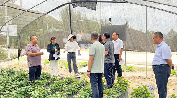 bifa·必发(中国)唯一官方网站